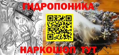 крисы Тверь