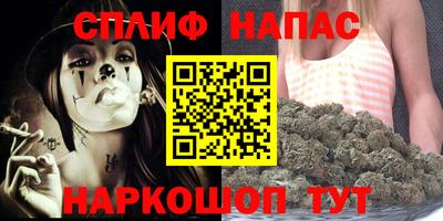 крисы Тверь